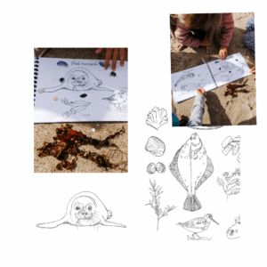 WAKACYJNY DZIENNIK OBSERWACJI PRZYRODNICZYCH